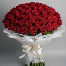 Букет 101 Красная роза Блэк Мэджик в Вартемяги