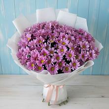 Букет цветов из:  Хризантемы в Вартемяги